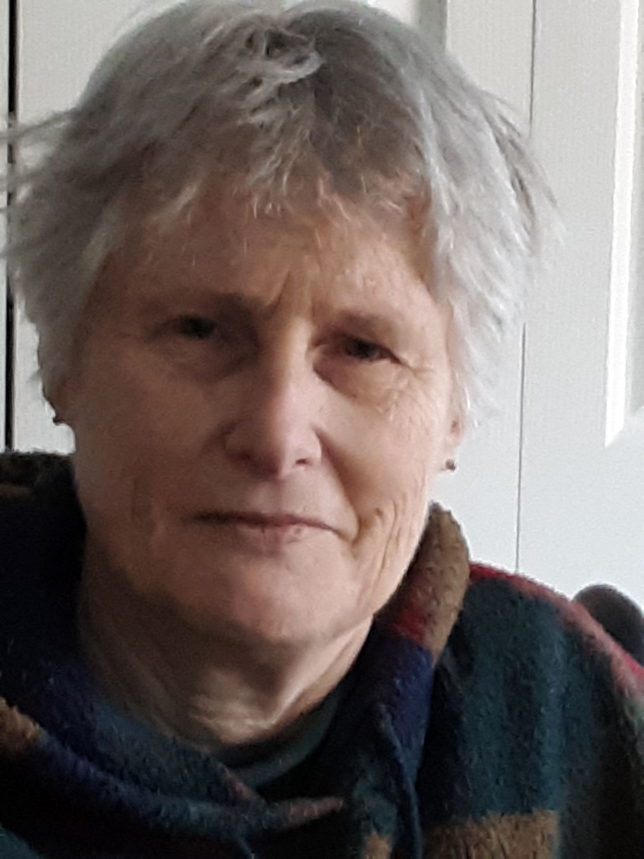 Susan De Vos