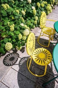 Shadows from sunburst-designed chairs are pictured with blooming Hydrangea flowers at the Memorial Union Terrace at the University of Wisconsin-Madison during summer.
